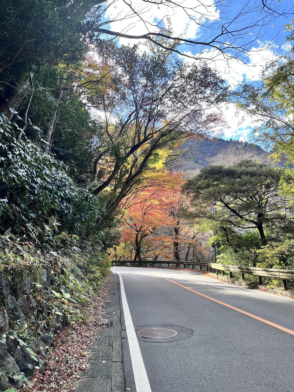 国道１号線⛰️箱根湯本🍡〜芦ノ湖🏃🏻‍♀️の写真6