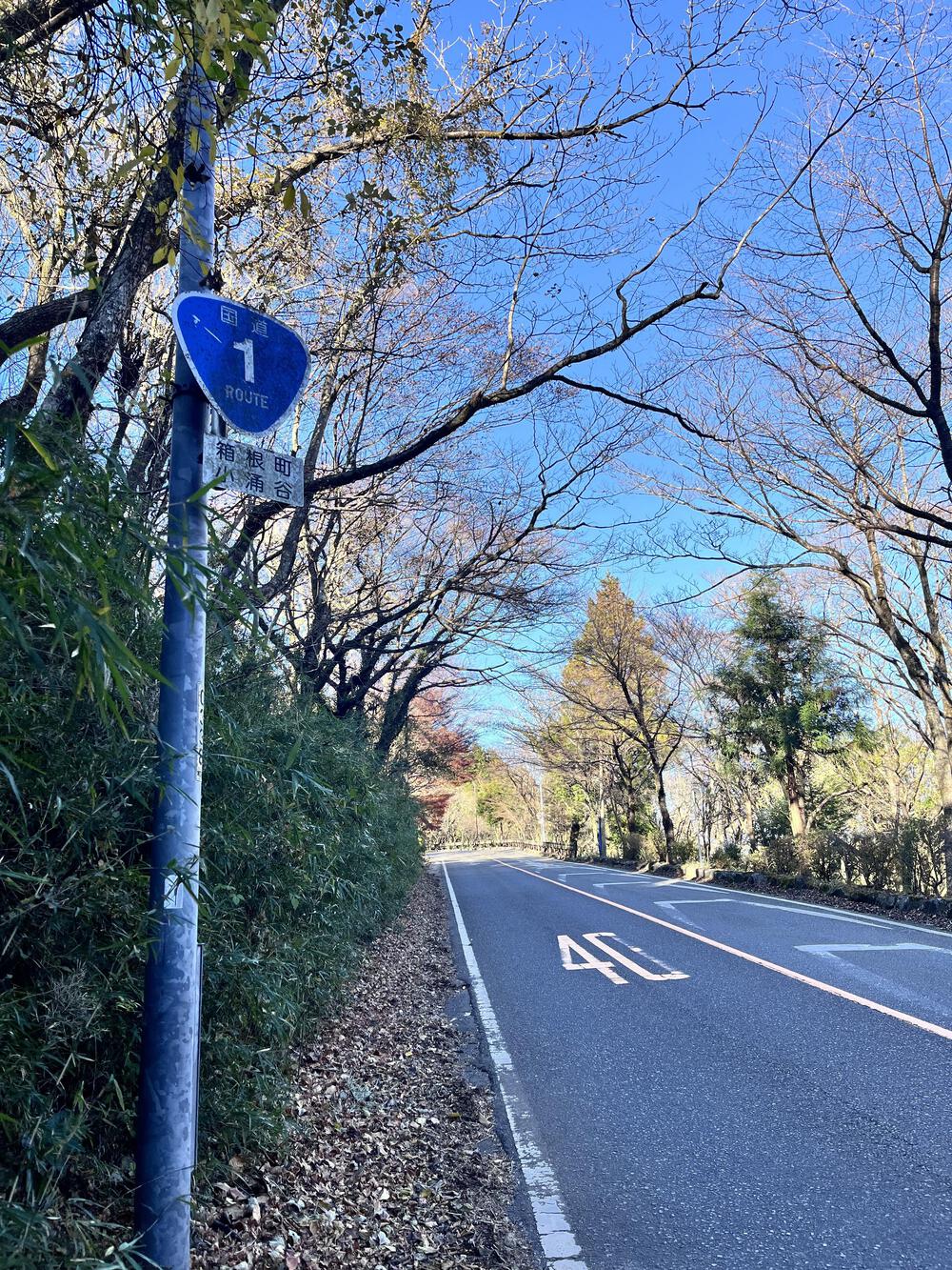 国道１号線⛰️箱根湯本🍡〜芦ノ湖🏃🏻‍♀️の写真8