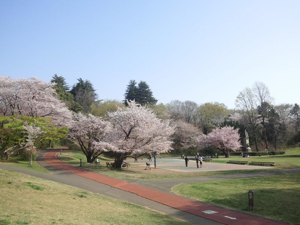 桜ＲＵＮ　所沢航空記念公園の写真4