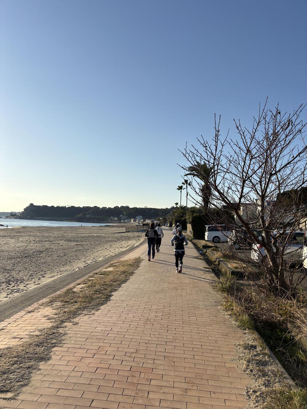 三浦七福神詣の写真3