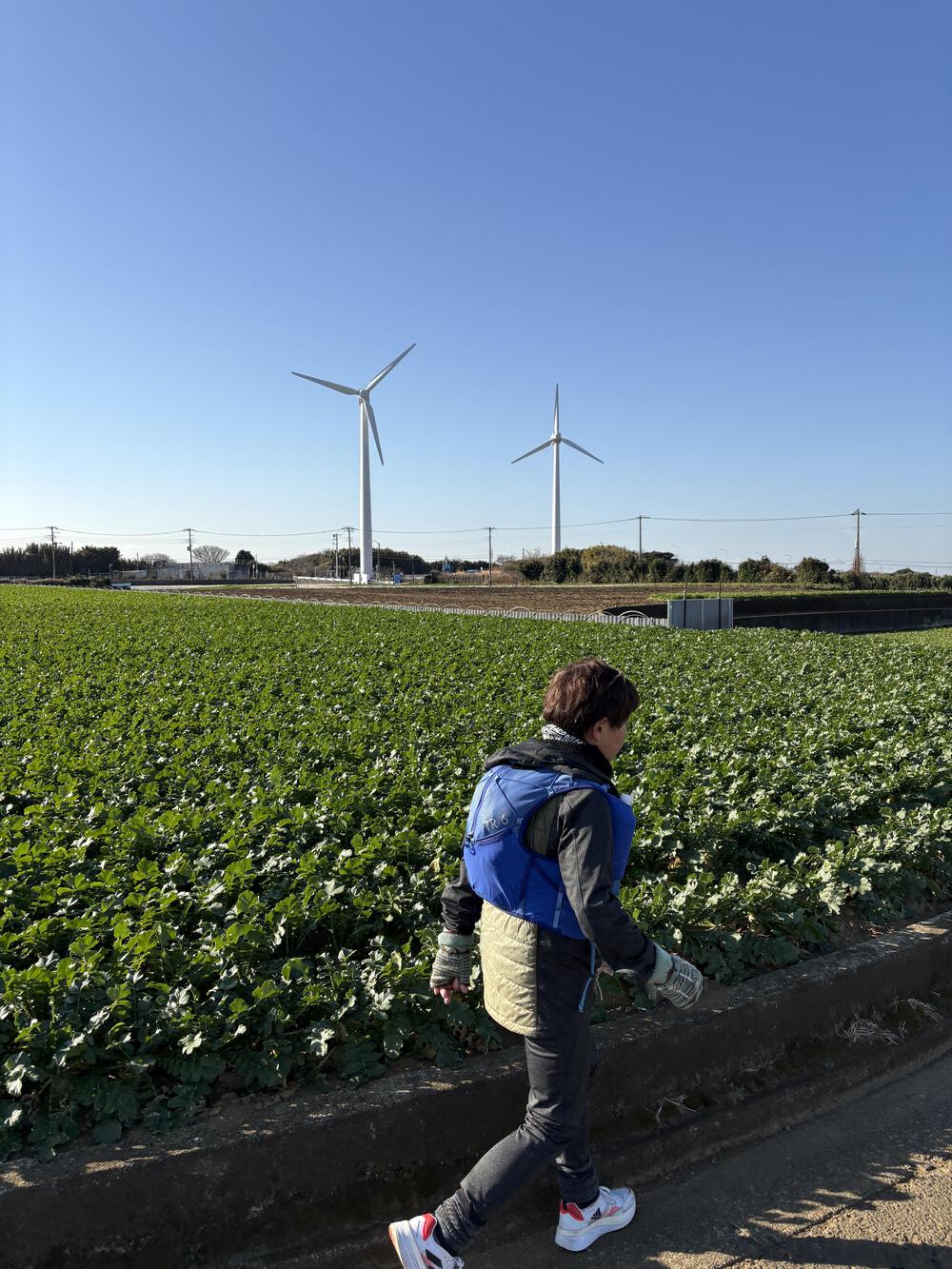 三浦七福神詣の写真7