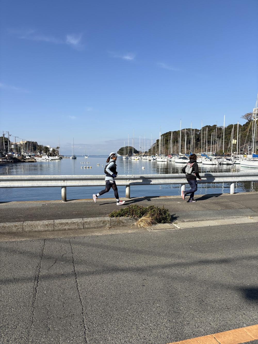 三浦七福神詣の写真10