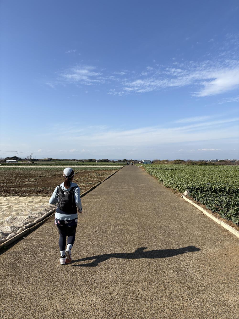 三浦七福神詣の写真14