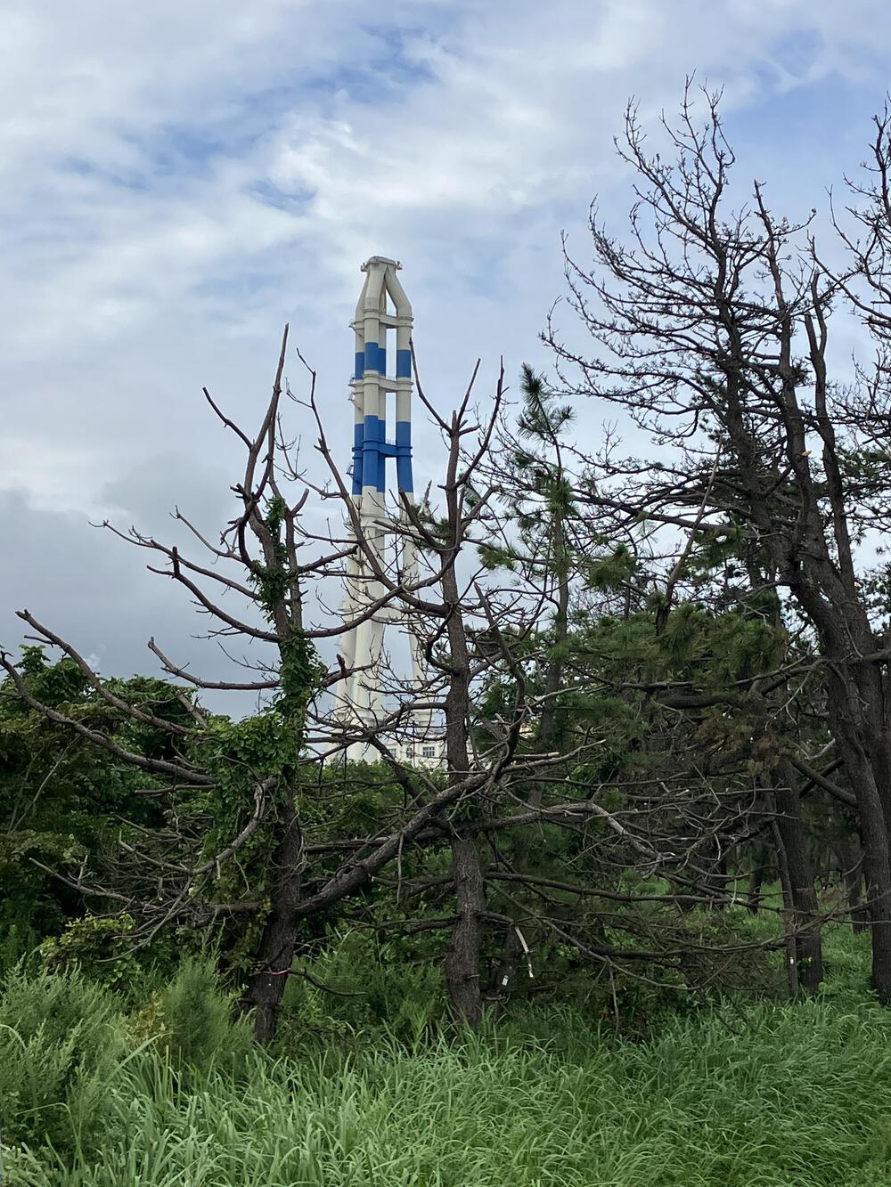 富山の海岸線制覇その10 富山市から射水市編18kmの写真4