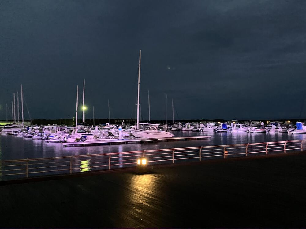 富山の海岸線制覇その10 富山市から射水市編18kmの写真12