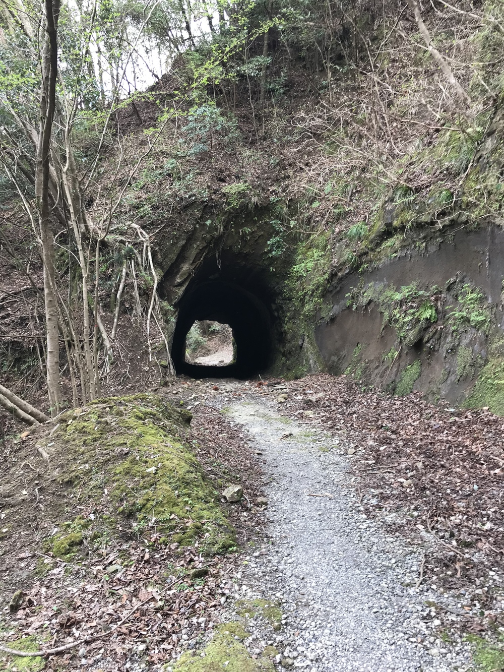 石射太郎登山口〜高宕山ショートコースの写真3