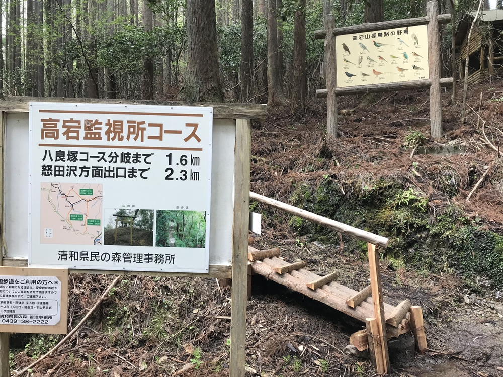 石射太郎登山口〜高宕山ショートコースの写真5