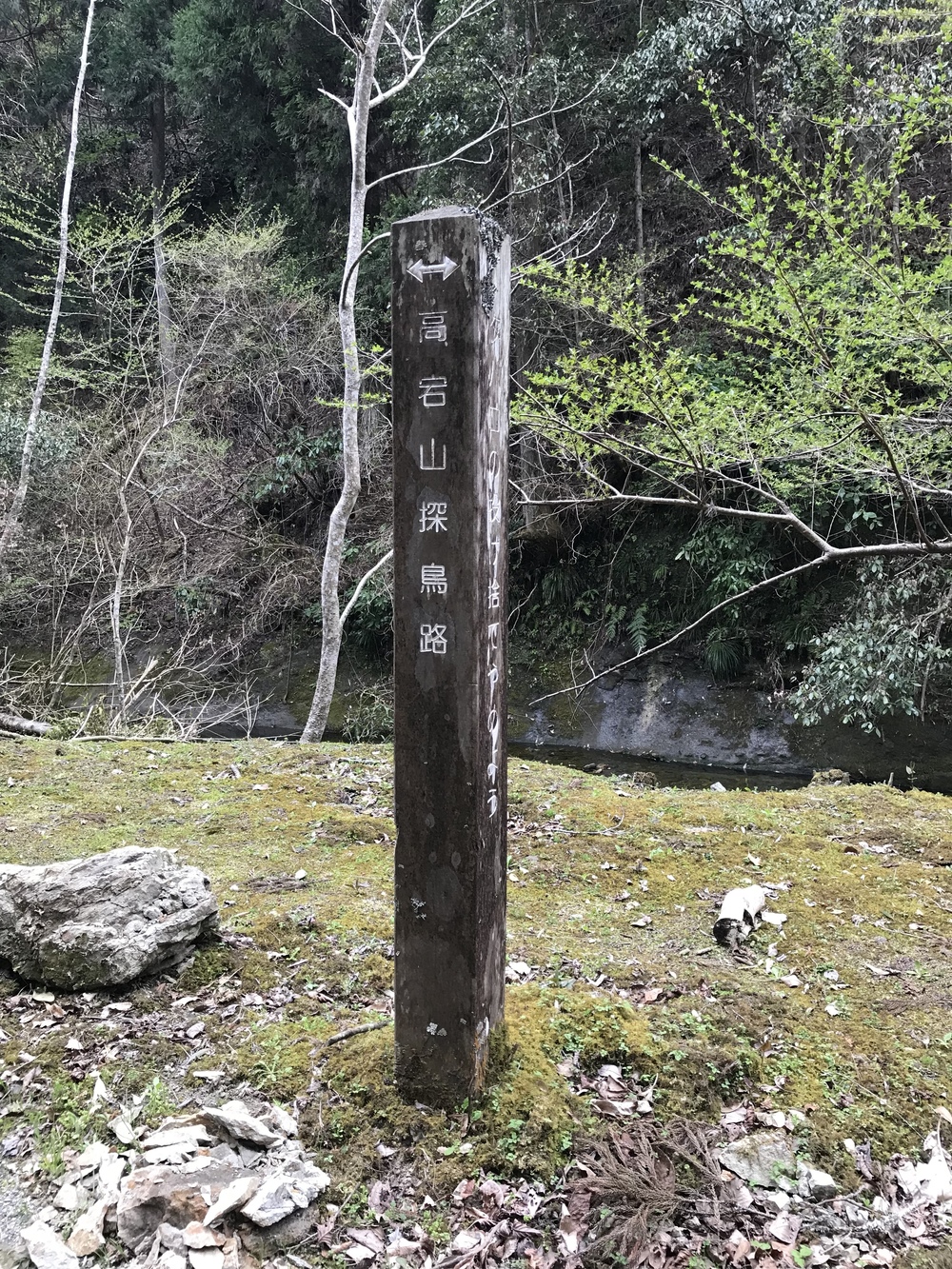 石射太郎登山口〜高宕山ショートコースの写真6