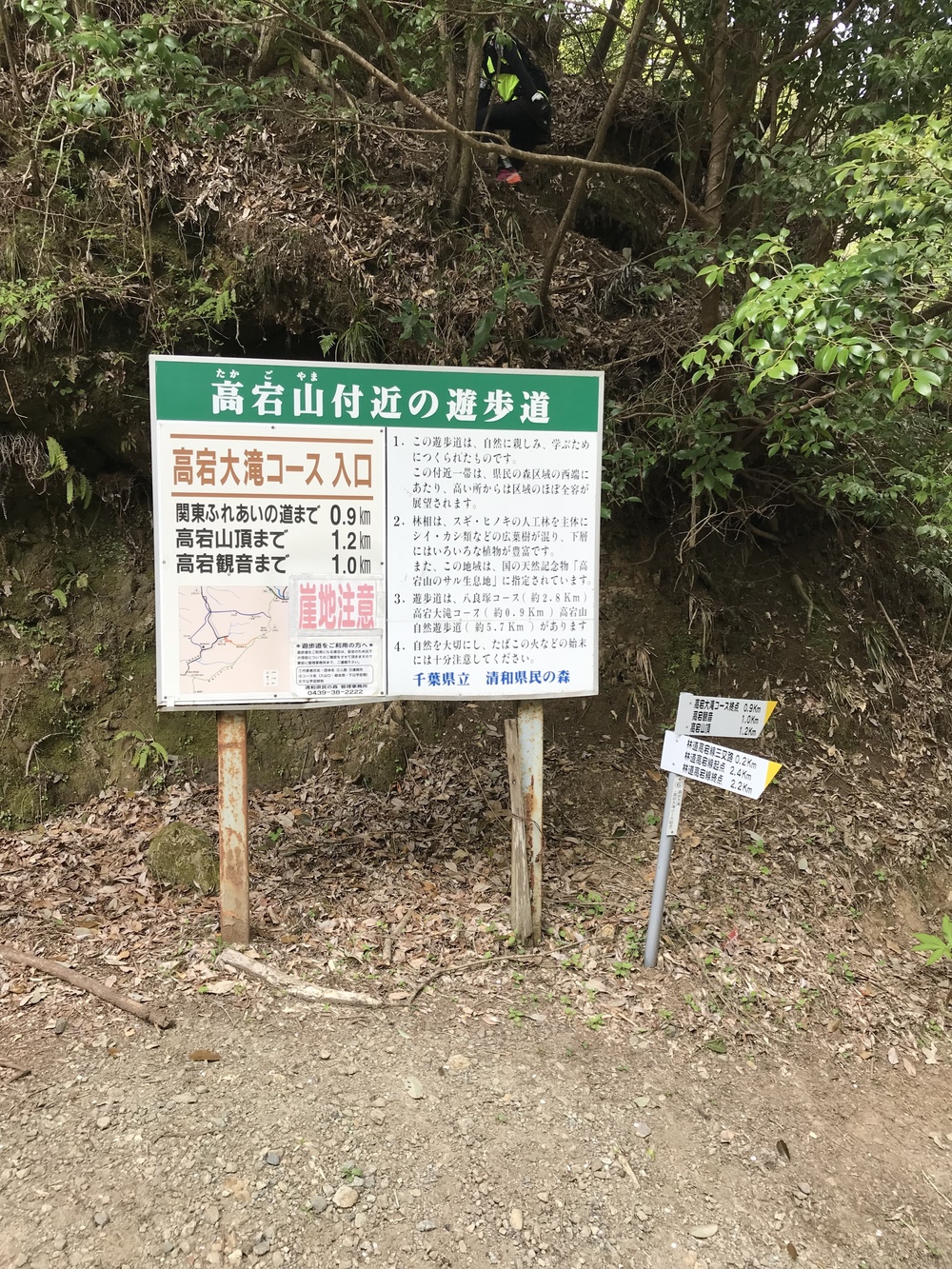 石射太郎登山口〜高宕山ショートコースの写真8