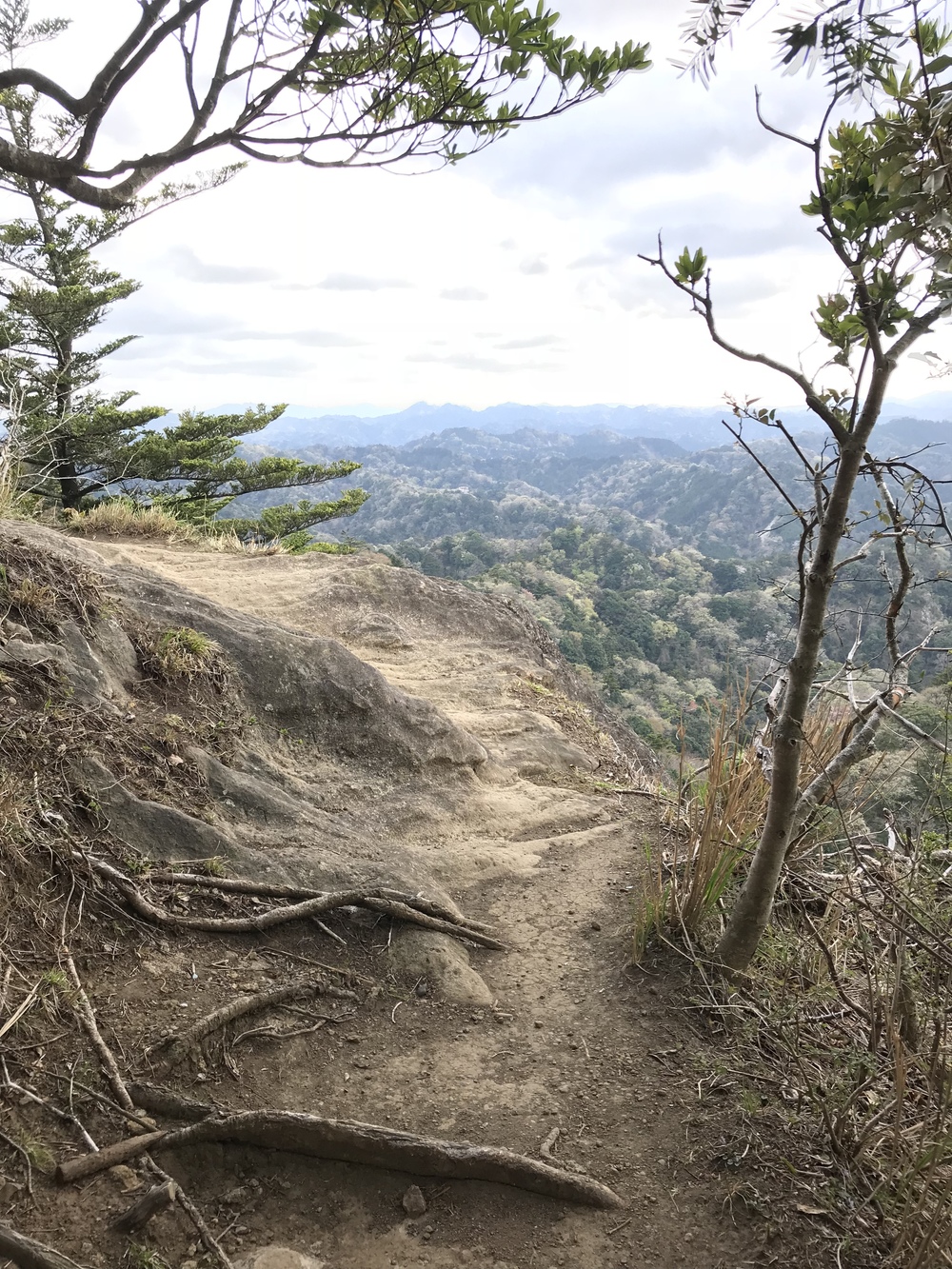 石射太郎登山口〜高宕山ショートコースの写真12