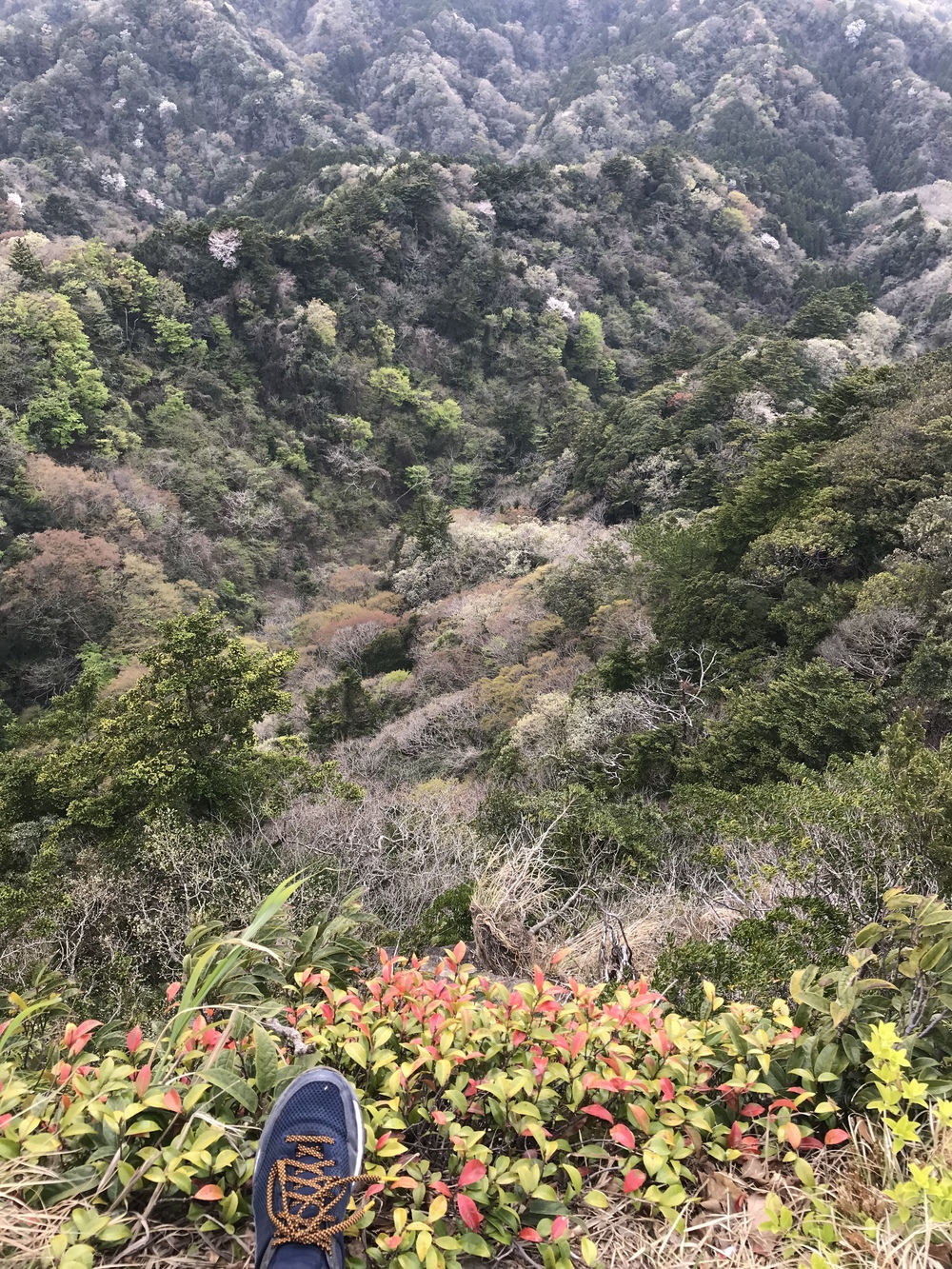 石射太郎登山口〜高宕山ショートコースの写真13