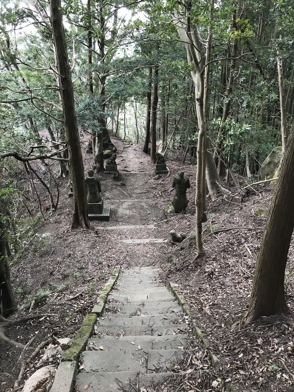 石射太郎登山口〜高宕山ショートコースの写真16