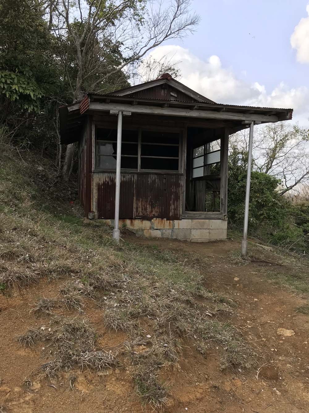 石射太郎登山口〜高宕山ショートコースの写真17