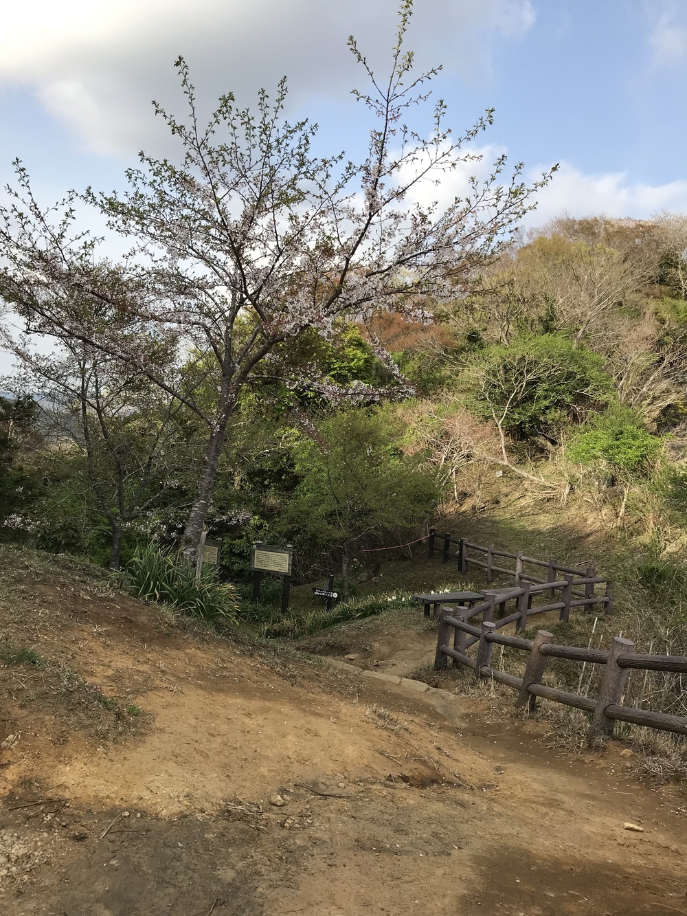 石射太郎登山口〜高宕山ショートコースの写真18