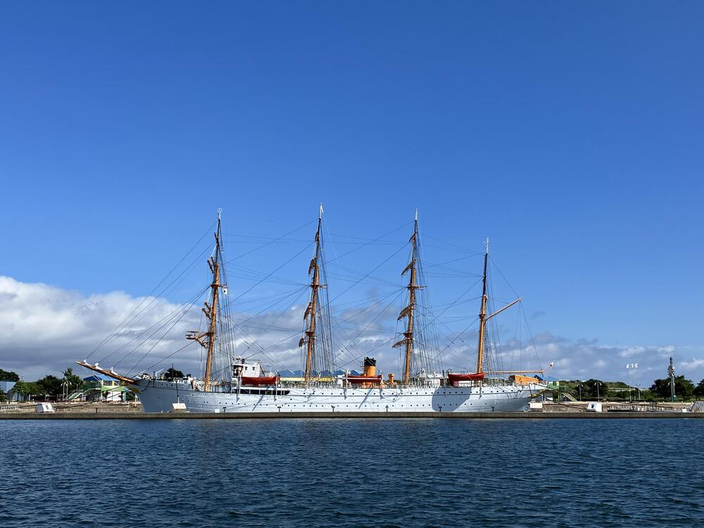 富山の海岸線制覇その11 射水市編 富山新港ぐるり24kmの写真27