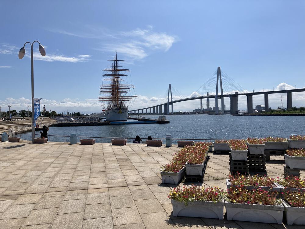 富山の海岸線制覇その11 射水市編 富山新港ぐるり24kmの写真28