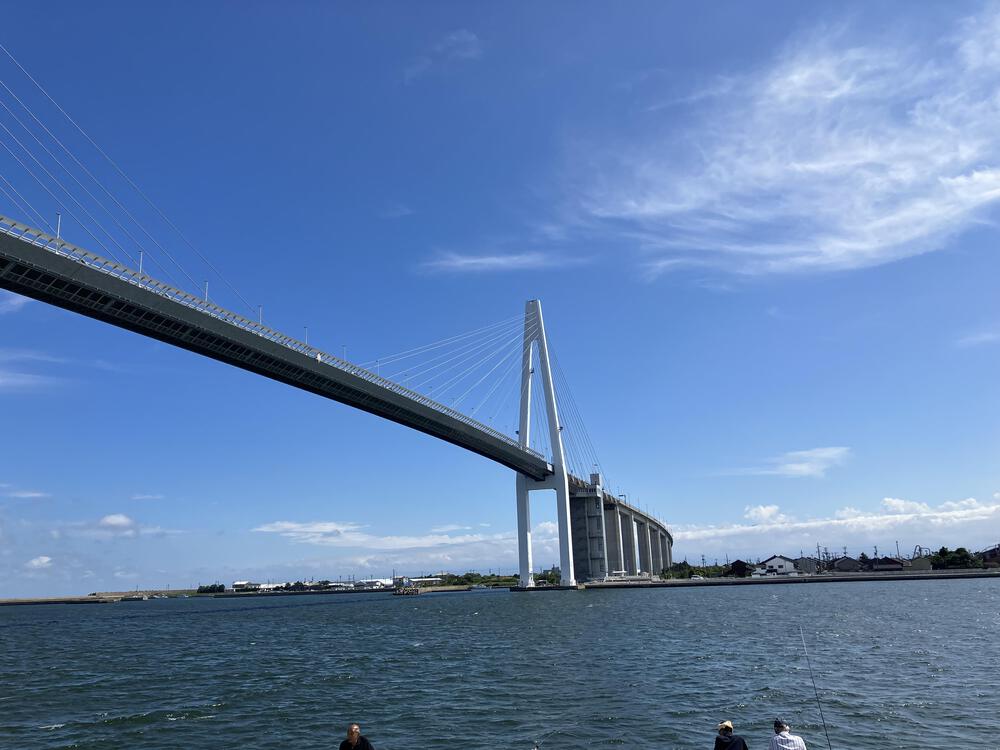 富山の海岸線制覇その11 射水市編 富山新港ぐるり24kmの写真32