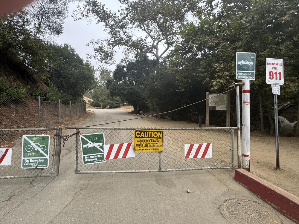 ランナーなら行ってみるべし【ハリウッドサイン】の写真3