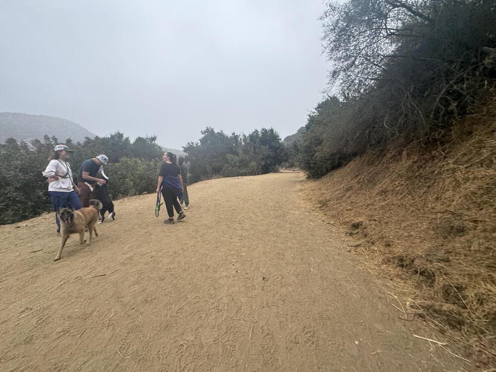 ランナーなら行ってみるべし【ハリウッドサイン】の写真6