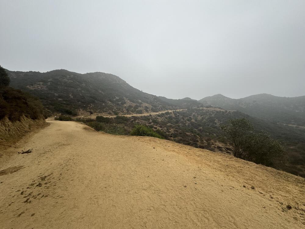 ランナーなら行ってみるべし【ハリウッドサイン】の写真8