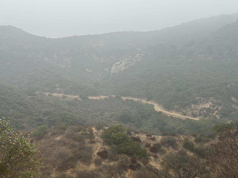 ランナーなら行ってみるべし【ハリウッドサイン】の写真9