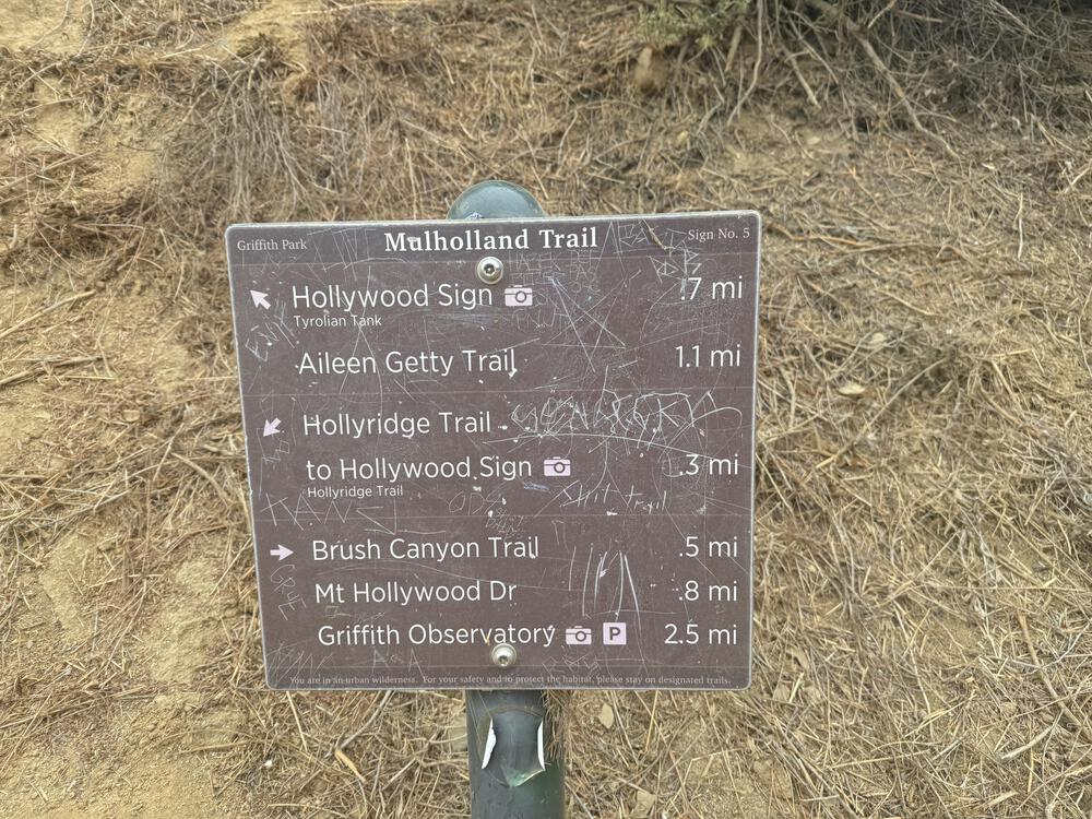 ランナーなら行ってみるべし【ハリウッドサイン】の写真11