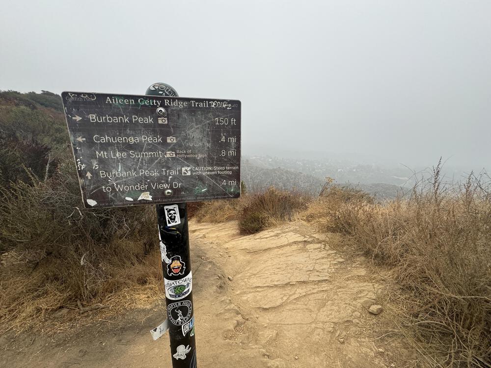 2024年に出現！【大谷翔平壁画・その4】の写真3