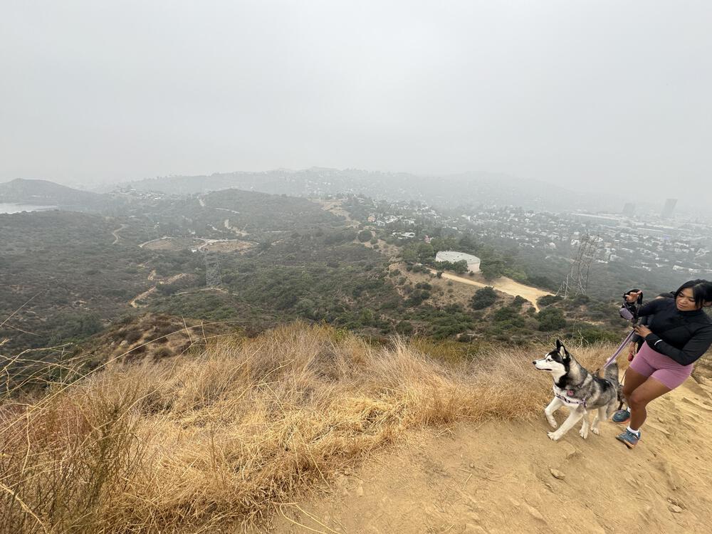 2024年に出現！【大谷翔平壁画・その4】の写真4
