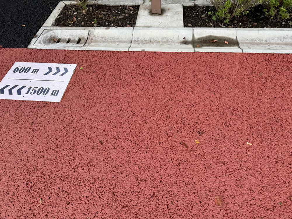 しながわ区民公園の周回コースの写真3