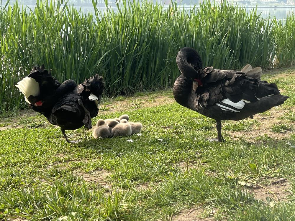 北京・朝陽公園のタツノオトシゴコースの写真5