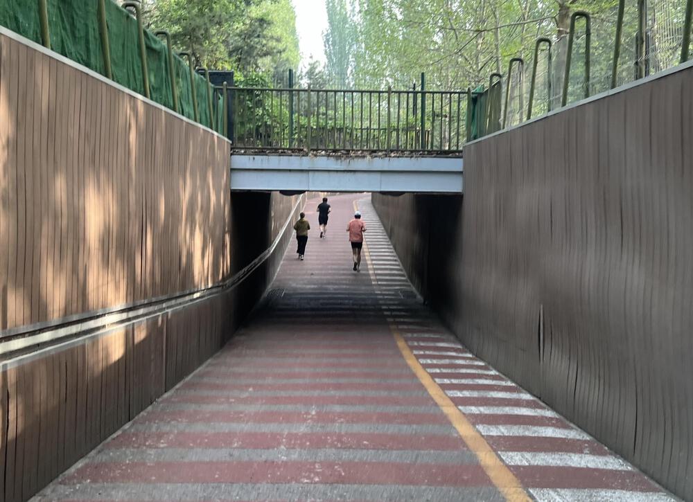 北京・朝陽公園のタツノオトシゴコースの写真8