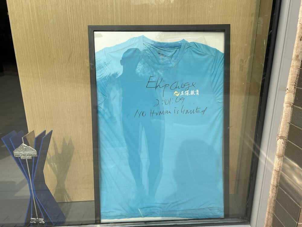 北京・オリンピック森林公園の10.8km周回コースの写真3