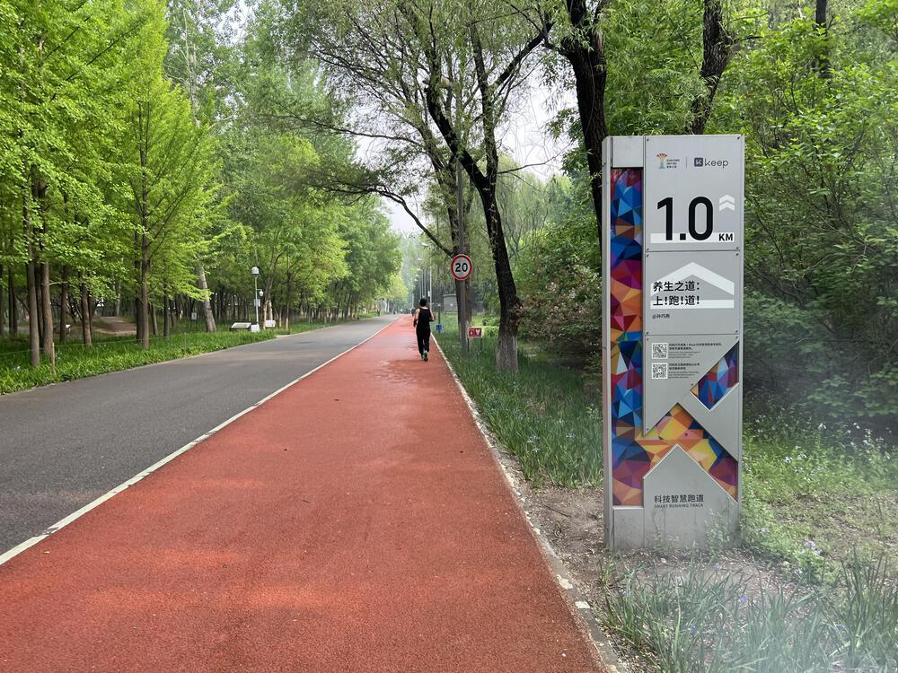 北京・オリンピック森林公園の10.8km周回コースの写真4