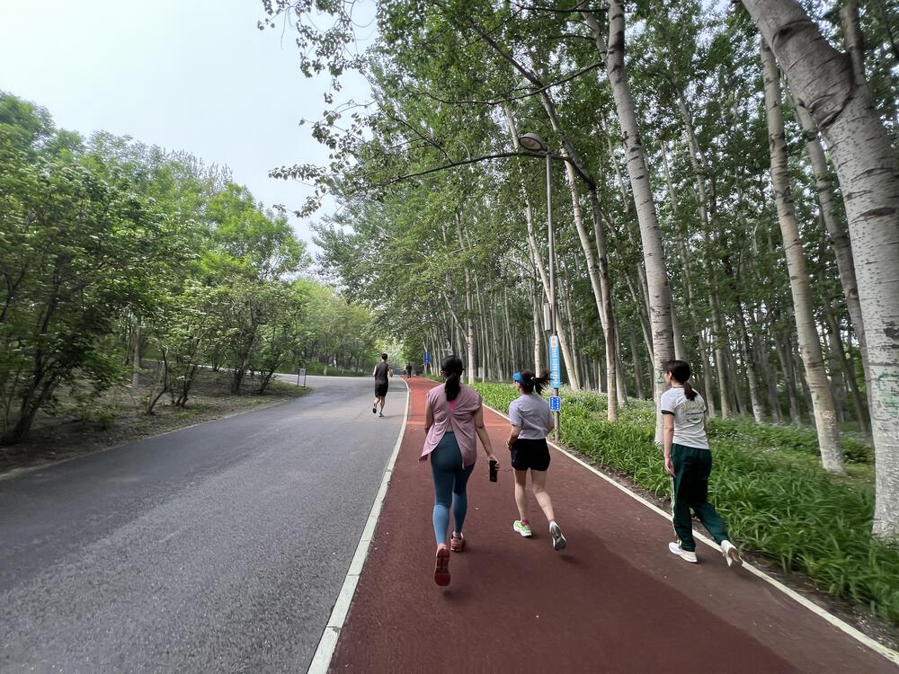 北京・オリンピック森林公園の10.8km周回コースの写真9