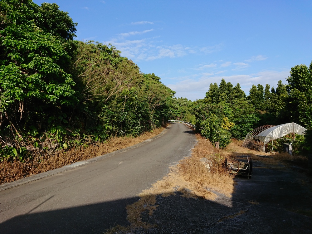 【沖縄】美ら海水族館周辺の周回コースの写真5