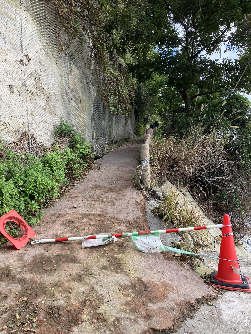 富山の海岸線制覇その14 最終回氷見市編19kmの写真4