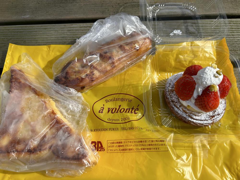 城攻めRUN in 越前国　福井城＆丸岡城　31kmの写真13