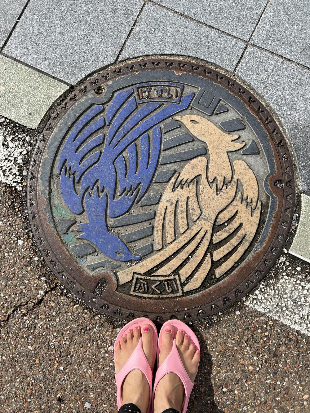 城攻めRUN in 越前国　福井城＆丸岡城　31kmの写真14