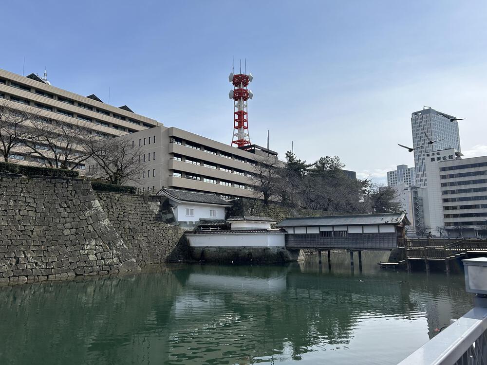城攻めRUN in 越前国　福井城＆丸岡城　31kmの写真16