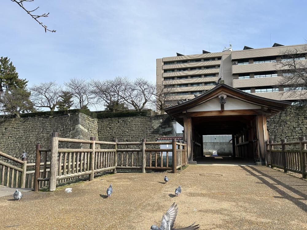 城攻めRUN in 越前国　福井城＆丸岡城　31kmの写真17