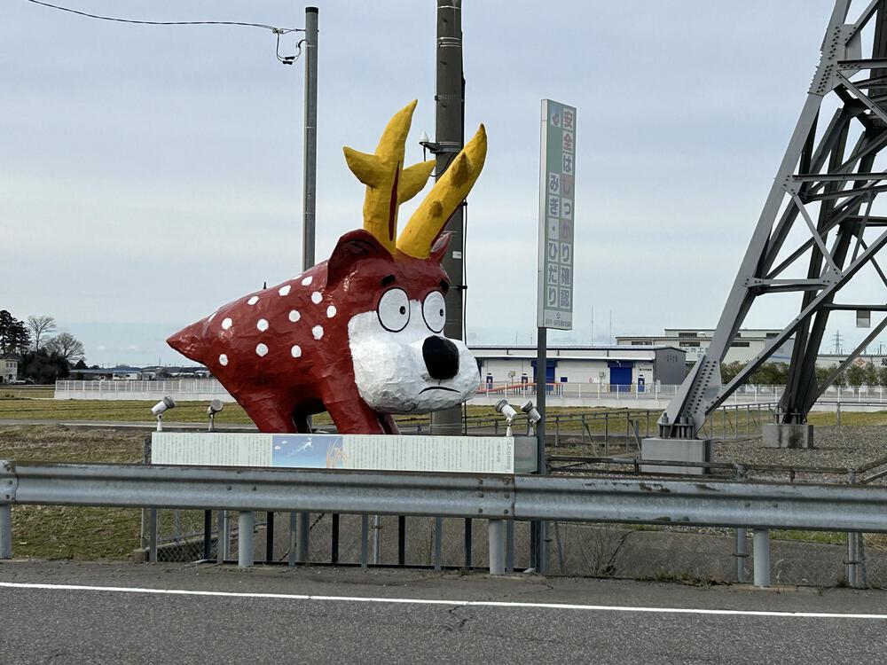 城攻めRUN in 越前国　福井城＆丸岡城　31kmの写真41