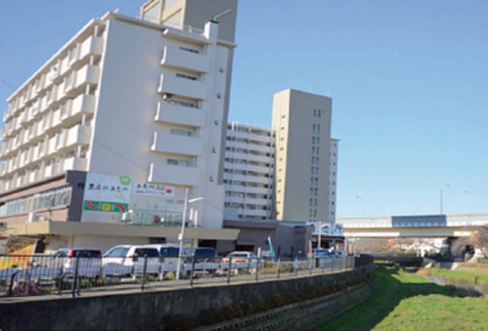 野川（四季を感じる）ロード/トレイルコースの写真5