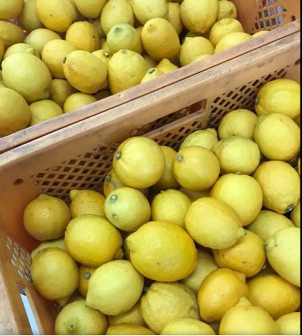 野川（四季を感じる）ロード/トレイルコースの写真6