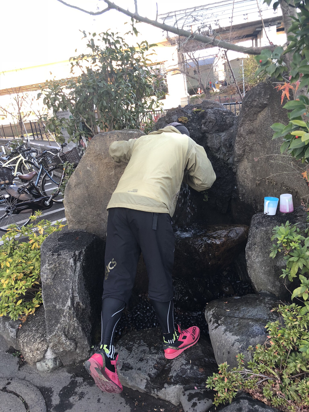 野川（四季を感じる）ロード/トレイルコースの写真7