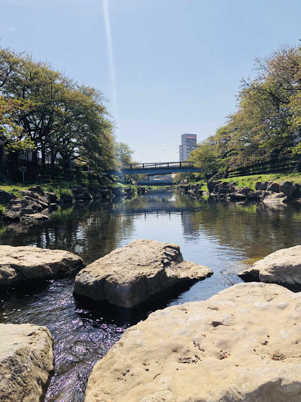 野川（四季を感じる）ロード/トレイルコースの写真14