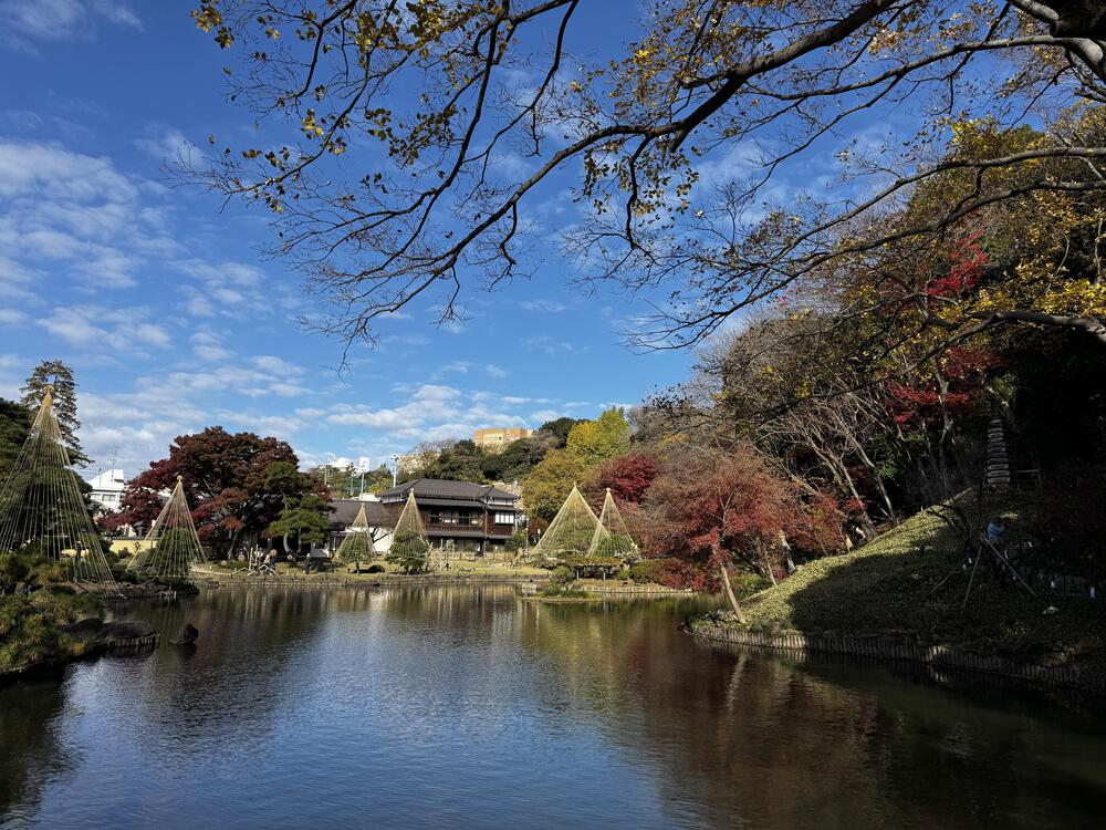 東京の坂と神社を楽しむランの写真3