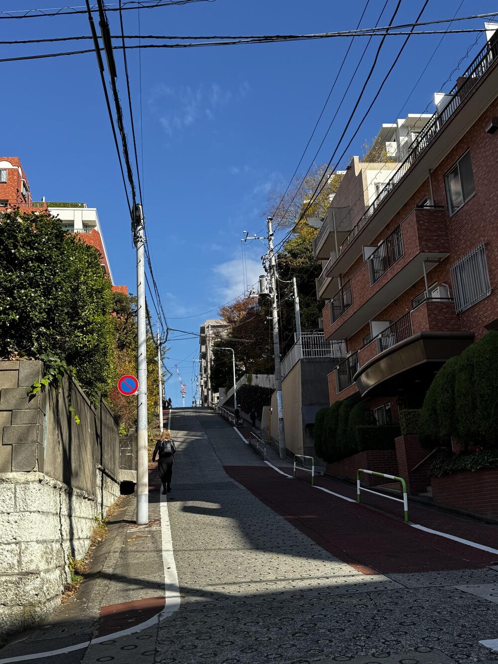 東京の坂と神社を楽しむランの写真4