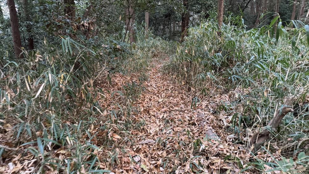 河内国分から明神山までのトレランルートの写真3