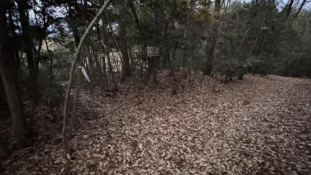 河内国分から明神山までのトレランルートの写真4