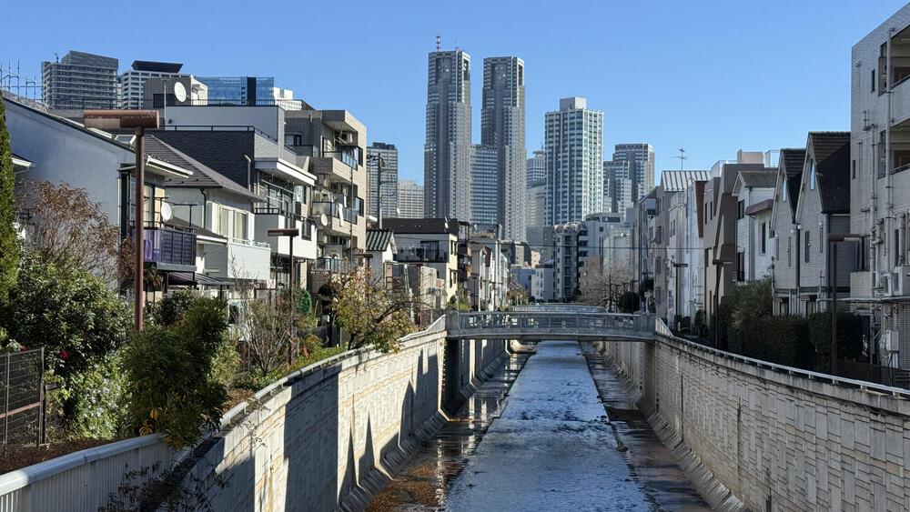 神田川下りルートの写真4